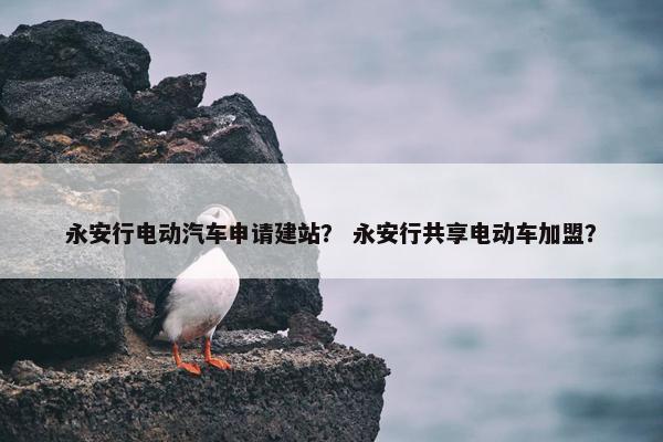 永安行电动汽车申请建站？ 永安行共享电动车加盟？-第1张图片-冷动云