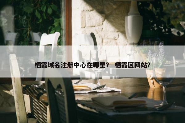 栖霞域名注册中心在哪里？ 栖霞区网站？-第1张图片-冷动云