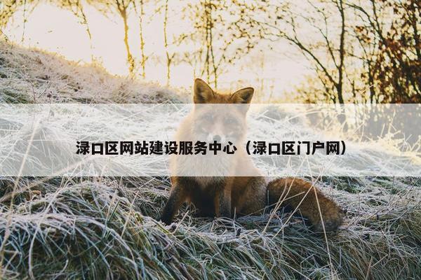 渌口区网站建设服务中心（渌口区门户网）-第1张图片-冷动云