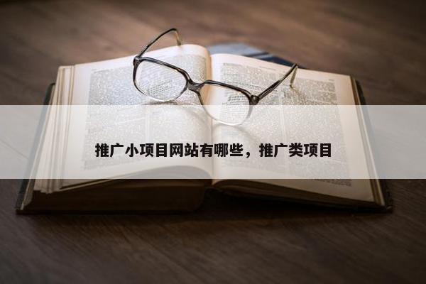 推广小项目网站有哪些，推广类项目-第1张图片-冷动云