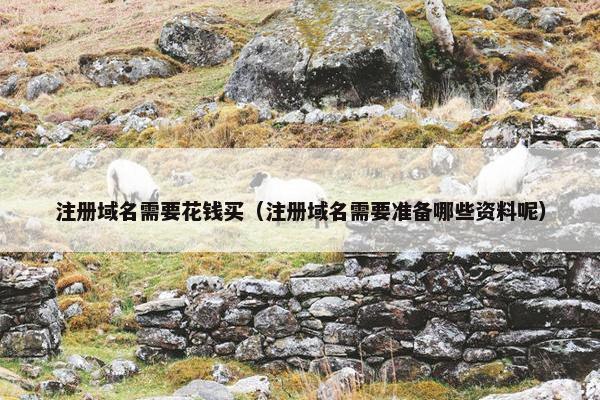 注册域名需要花钱买（注册域名需要准备哪些资料呢）-第1张图片-冷动云