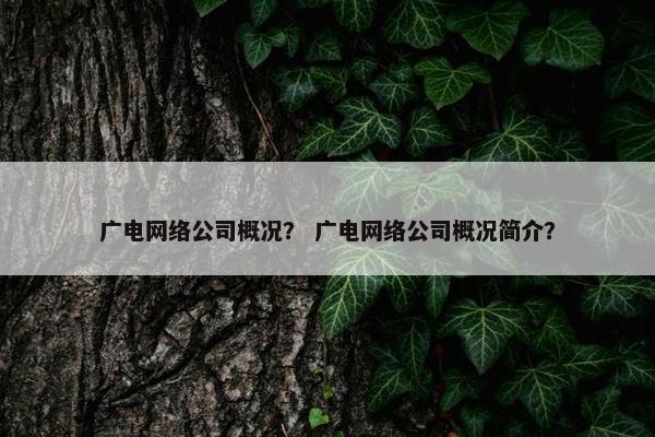 广电网络公司概况？ 广电网络公司概况简介？-第1张图片-冷动云
