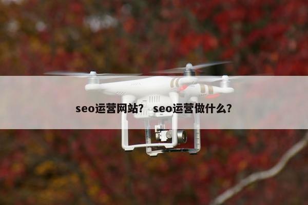 seo运营网站？ seo运营做什么？-第1张图片-冷动云