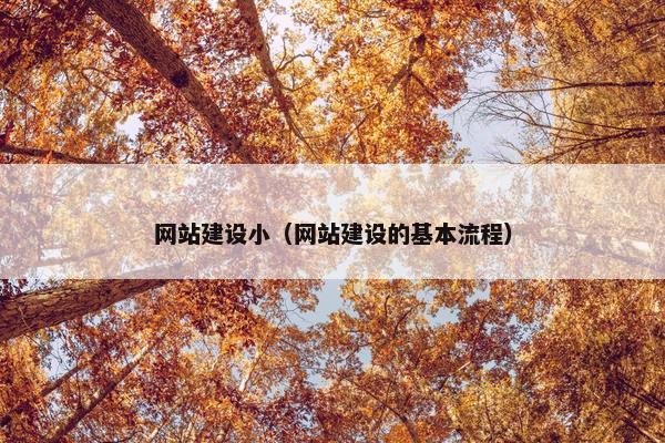 网站建设小（网站建设的基本流程）-第1张图片-冷动云
