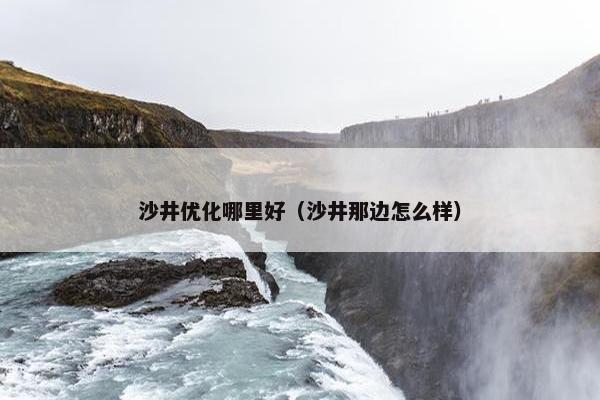 沙井优化哪里好（沙井那边怎么样）-第1张图片-冷动云