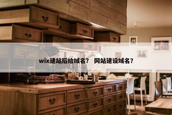 wix建站后给域名？ 网站建设域名？-第1张图片-冷动云