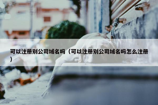 可以注册别公司域名吗（可以注册别公司域名吗怎么注册）-第1张图片-冷动云