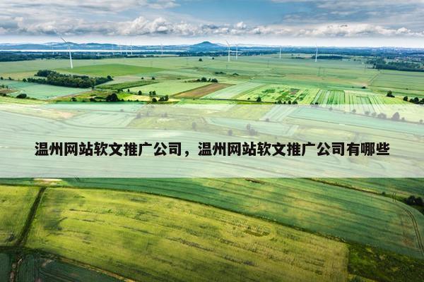 温州网站软文推广公司，温州网站软文推广公司有哪些-第1张图片-冷动云