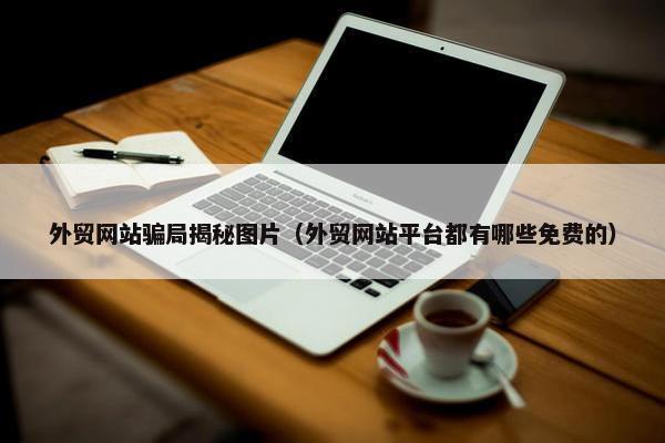 外贸网站骗局揭秘图片（外贸网站平台都有哪些免费的）-第1张图片-冷动云