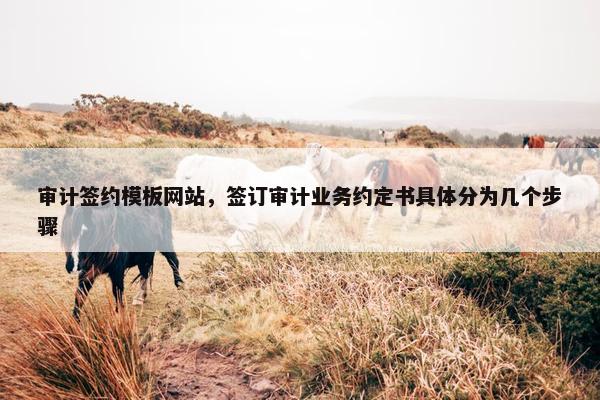 审计签约模板网站，签订审计业务约定书具体分为几个步骤-第1张图片-冷动云