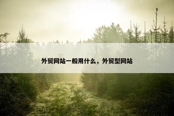 外贸网站一般用什么，外贸型网站-第1张图片-冷动云