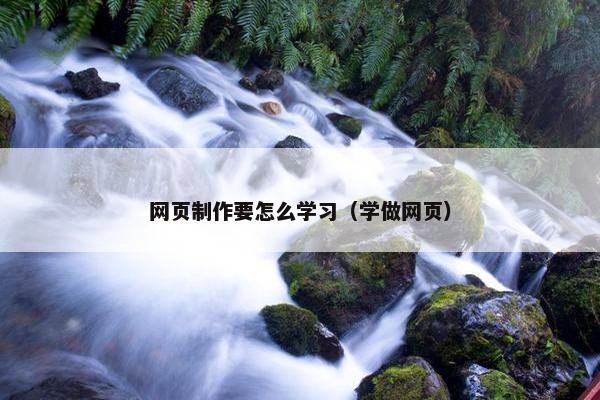 网页制作要怎么学习（学做网页）-第1张图片-冷动云