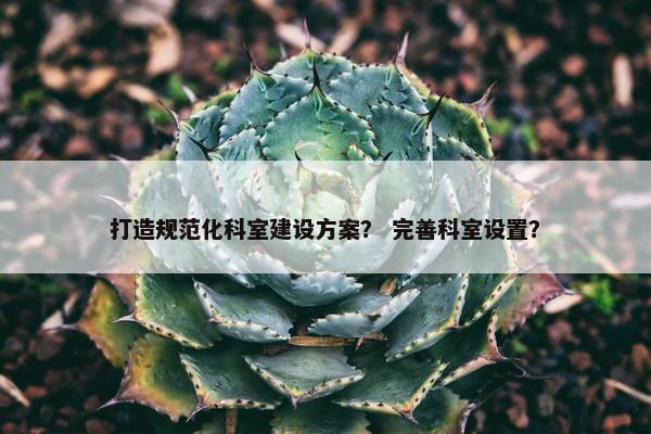 打造规范化科室建设方案？ 完善科室设置？-第1张图片-冷动云