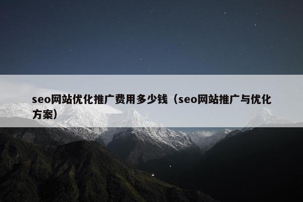 seo网站优化推广费用多少钱（seo网站推广与优化方案）-第1张图片-冷动云