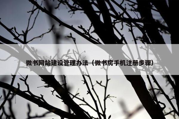 微书网站建设管理办法（微书房手机注册步骤）-第1张图片-冷动云
