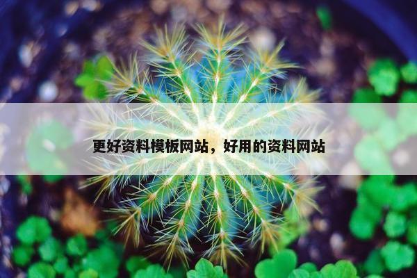 更好资料模板网站，好用的资料网站-第1张图片-冷动云