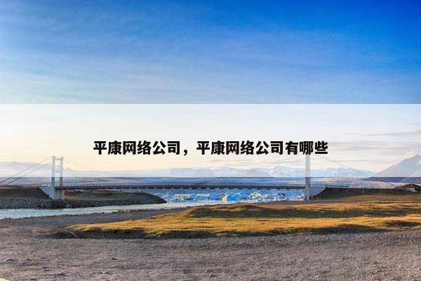 平康网络公司，平康网络公司有哪些-第1张图片-冷动云
