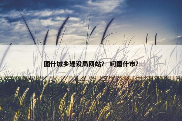 图什城乡建设局网站？ 呵图什市？-第1张图片-冷动云
