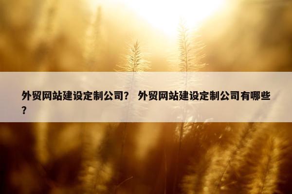 外贸网站建设定制公司？ 外贸网站建设定制公司有哪些？-第1张图片-冷动云