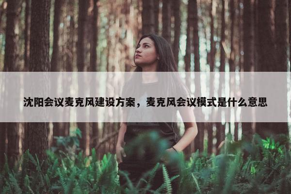 沈阳会议麦克风建设方案，麦克风会议模式是什么意思-第1张图片-冷动云