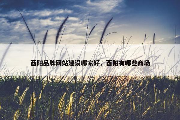 酉阳品牌网站建设哪家好，酉阳有哪些商场-第1张图片-冷动云