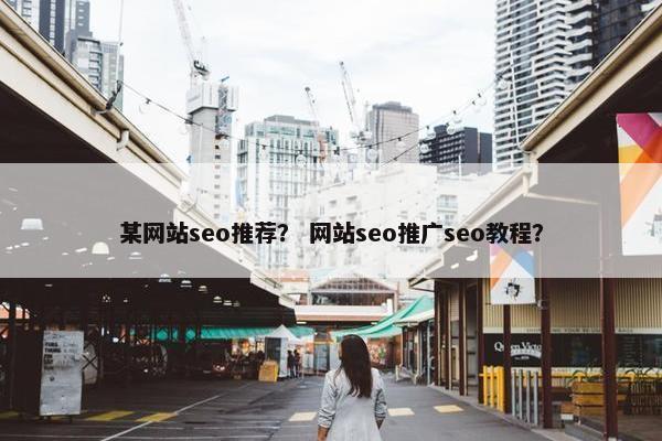 某网站seo推荐？ 网站seo推广seo教程？-第1张图片-冷动云