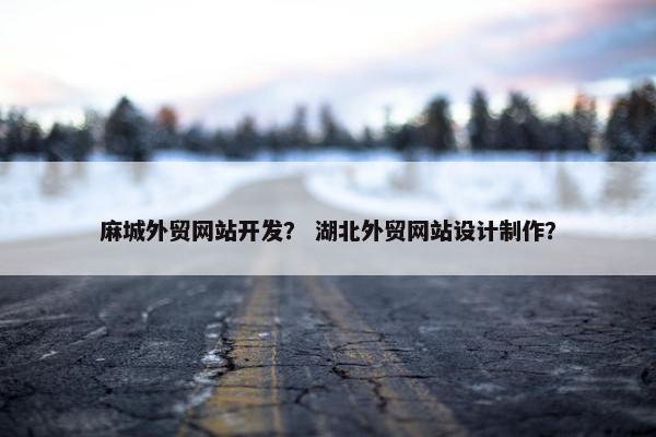 麻城外贸网站开发？ 湖北外贸网站设计制作？-第1张图片-冷动云