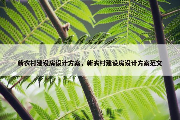 新农村建设房设计方案，新农村建设房设计方案范文-第1张图片-冷动云
