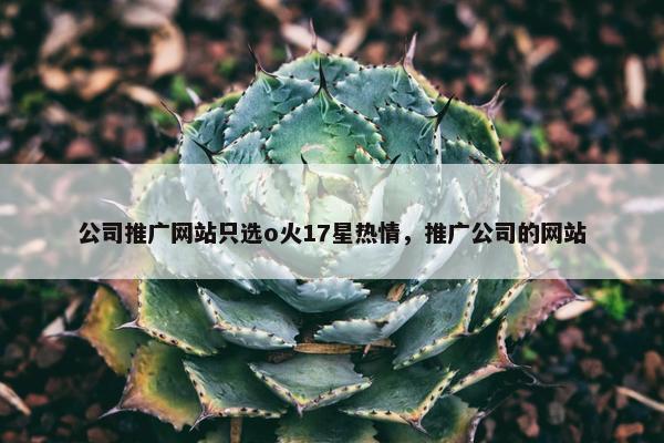 公司推广网站只选o火17星热情，推广公司的网站-第1张图片-冷动云