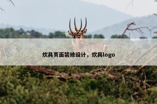 炊具页面装修设计，炊具logo-第1张图片-冷动云