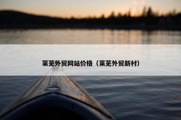莱芜外贸网站价格（莱芜外贸新村）-第1张图片-冷动云