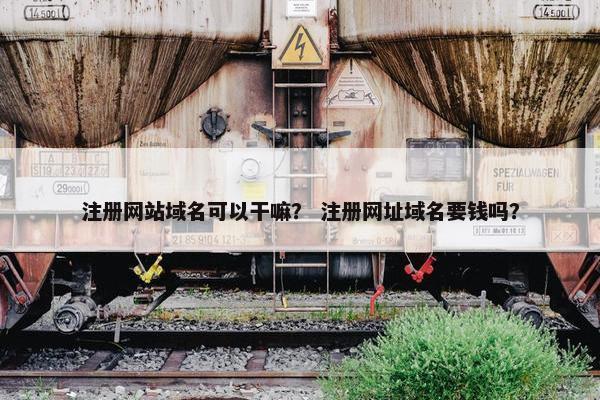 注册网站域名可以干嘛？ 注册网址域名要钱吗？-第1张图片-冷动云