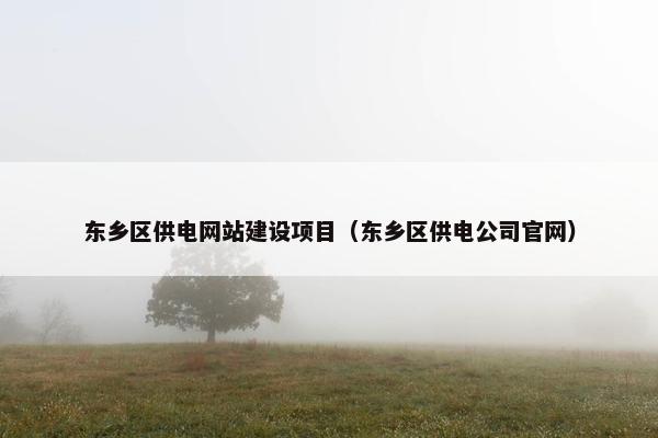 东乡区供电网站建设项目（东乡区供电公司官网）-第1张图片-冷动云