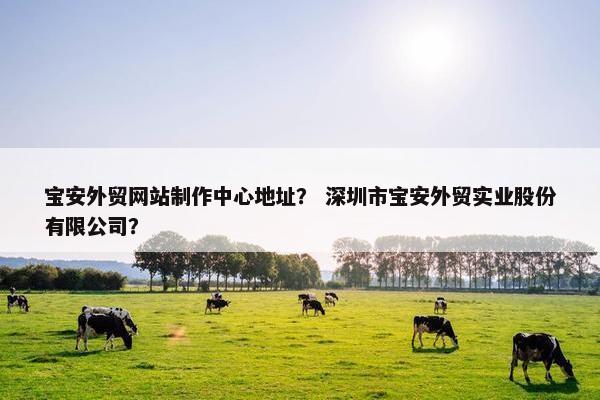 宝安外贸网站制作中心地址？ 深圳市宝安外贸实业股份有限公司？-第1张图片-冷动云