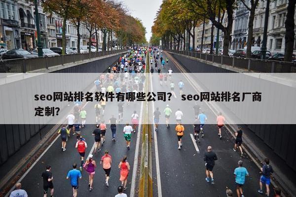 seo网站排名软件有哪些公司？ seo网站排名厂商定制？-第1张图片-冷动云