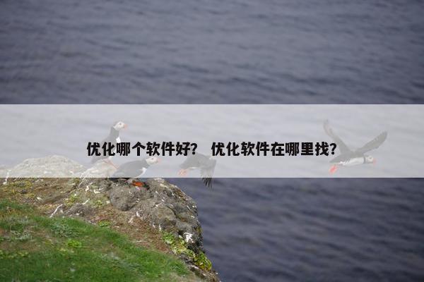 优化哪个软件好？ 优化软件在哪里找？-第1张图片-冷动云