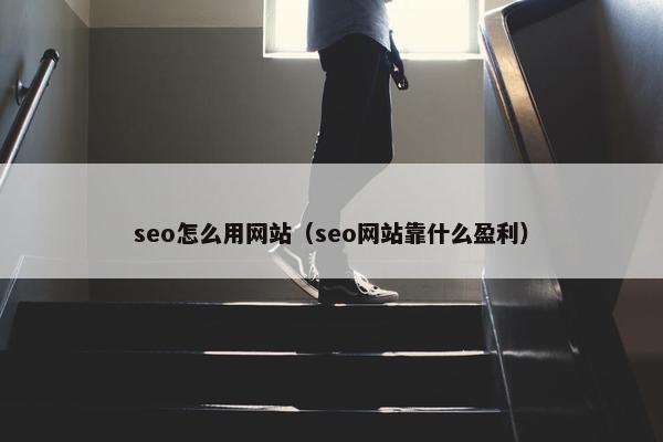 seo怎么用网站（seo网站靠什么盈利）-第1张图片-冷动云