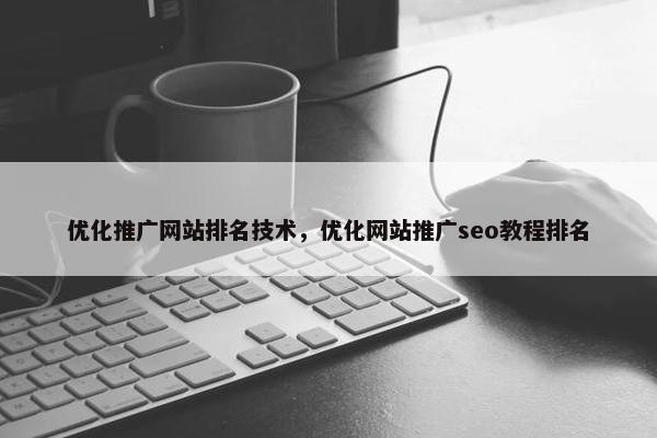 优化推广网站排名技术，优化网站推广seo教程排名-第1张图片-冷动云