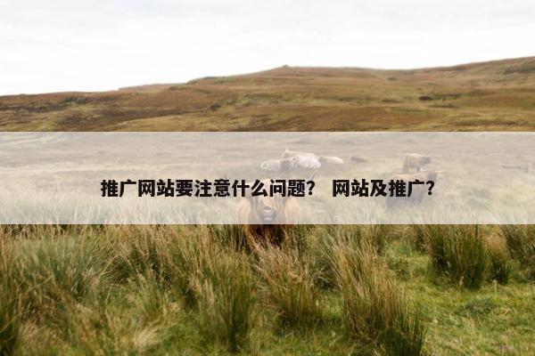 推广网站要注意什么问题？ 网站及推广？-第1张图片-冷动云
