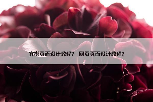 宜搭页面设计教程？ 网页页面设计教程？-第1张图片-冷动云