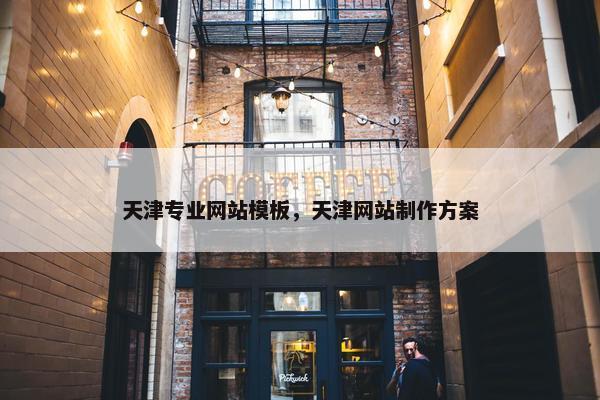 天津专业网站模板，天津网站制作方案-第1张图片-冷动云