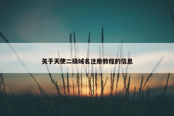 关于天使二级域名注册教程的信息-第1张图片-冷动云