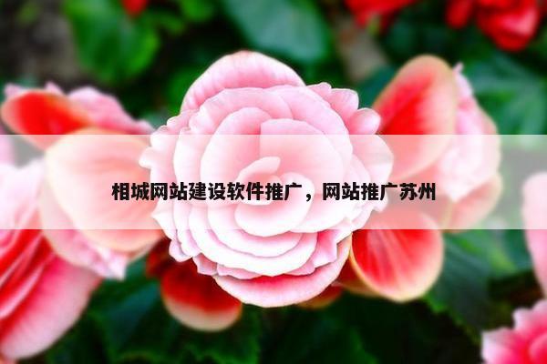 相城网站建设软件推广，网站推广苏州-第1张图片-冷动云