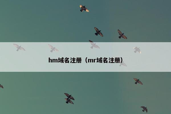 hm域名注册（mr域名注册）-第1张图片-冷动云