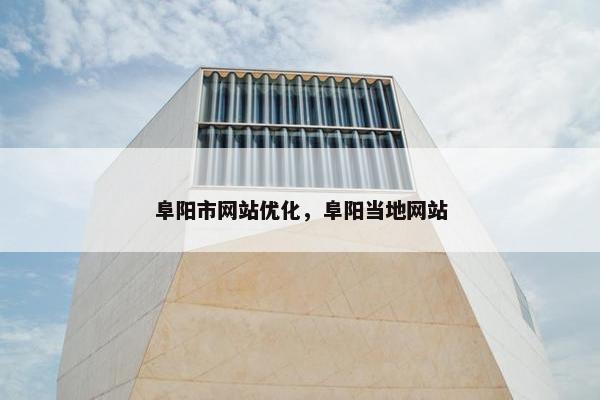 阜阳市网站优化，阜阳当地网站-第1张图片-冷动云