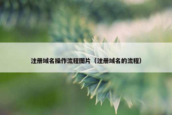 注册域名操作流程图片（注册域名的流程）-第1张图片-冷动云