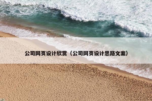 公司网页设计欣赏（公司网页设计思路文案）-第1张图片-冷动云