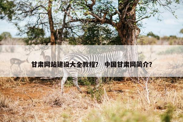甘肃网站建设大全教程？ 中国甘肃网简介？-第1张图片-冷动云