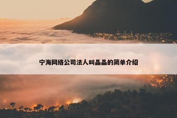 宁海网络公司法人叫晶晶的简单介绍-第1张图片-冷动云