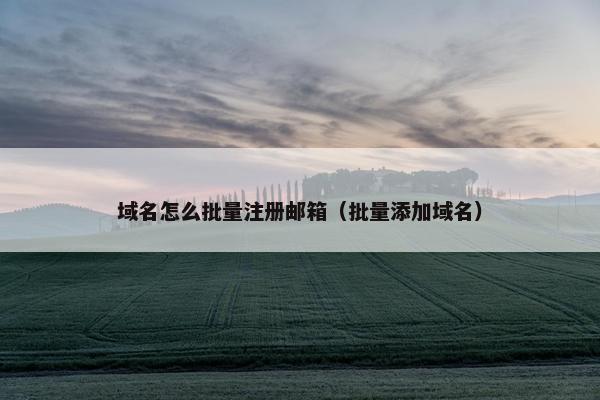 域名怎么批量注册邮箱（批量添加域名）-第1张图片-冷动云